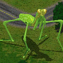 Giant Mantis