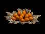 newtrino eggs