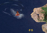 wimmin swimmin