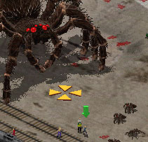 itsy bitsy spider